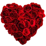 valentine live wallpaper android application logo